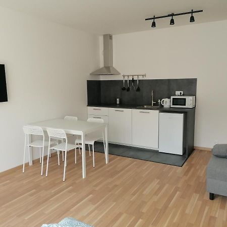 Brand New Studio Apartment #51 With Free Secure Parking In The Center ปราก ภายนอก รูปภาพ
