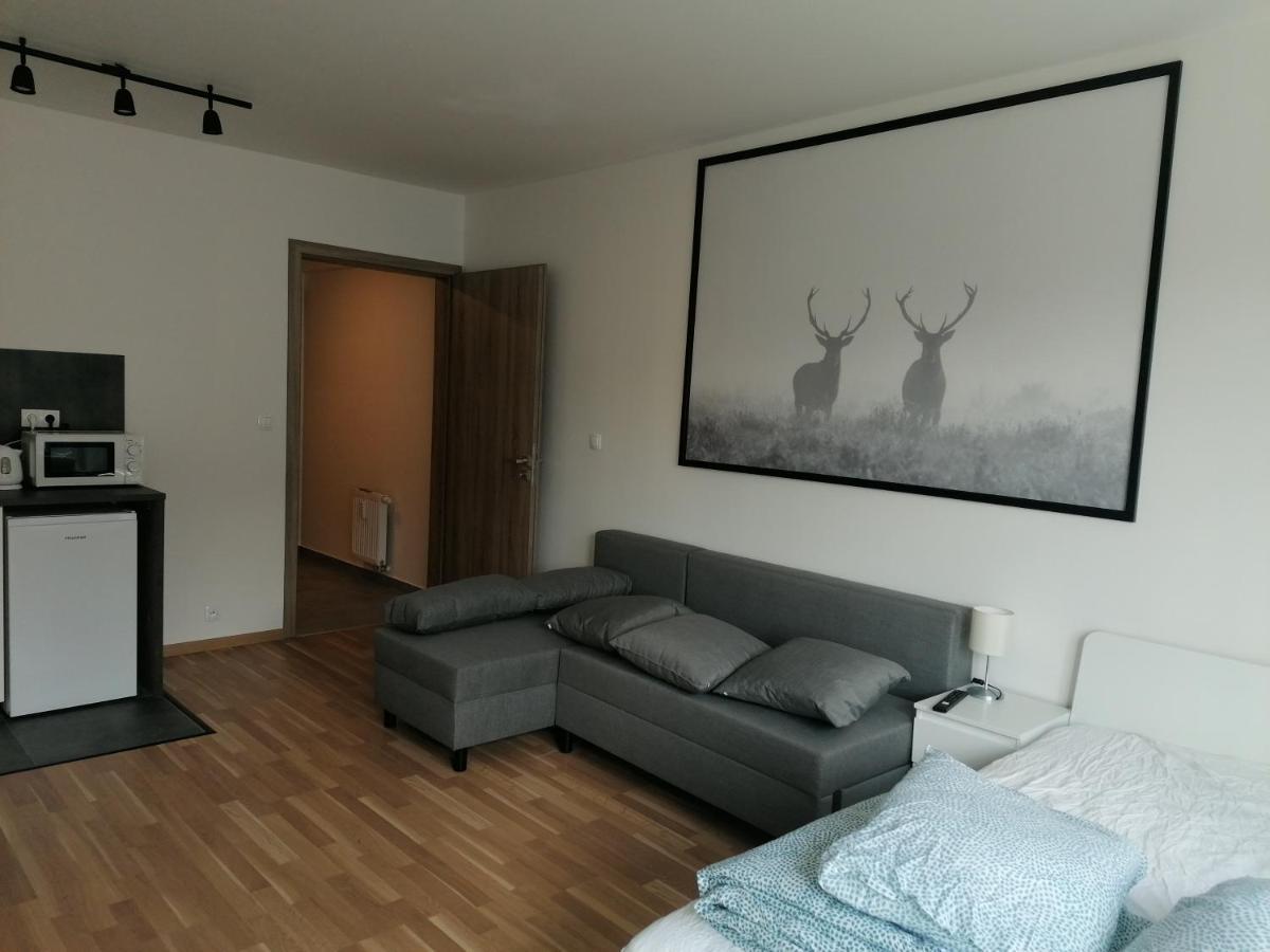 Brand New Studio Apartment #51 With Free Secure Parking In The Center ปราก ภายนอก รูปภาพ