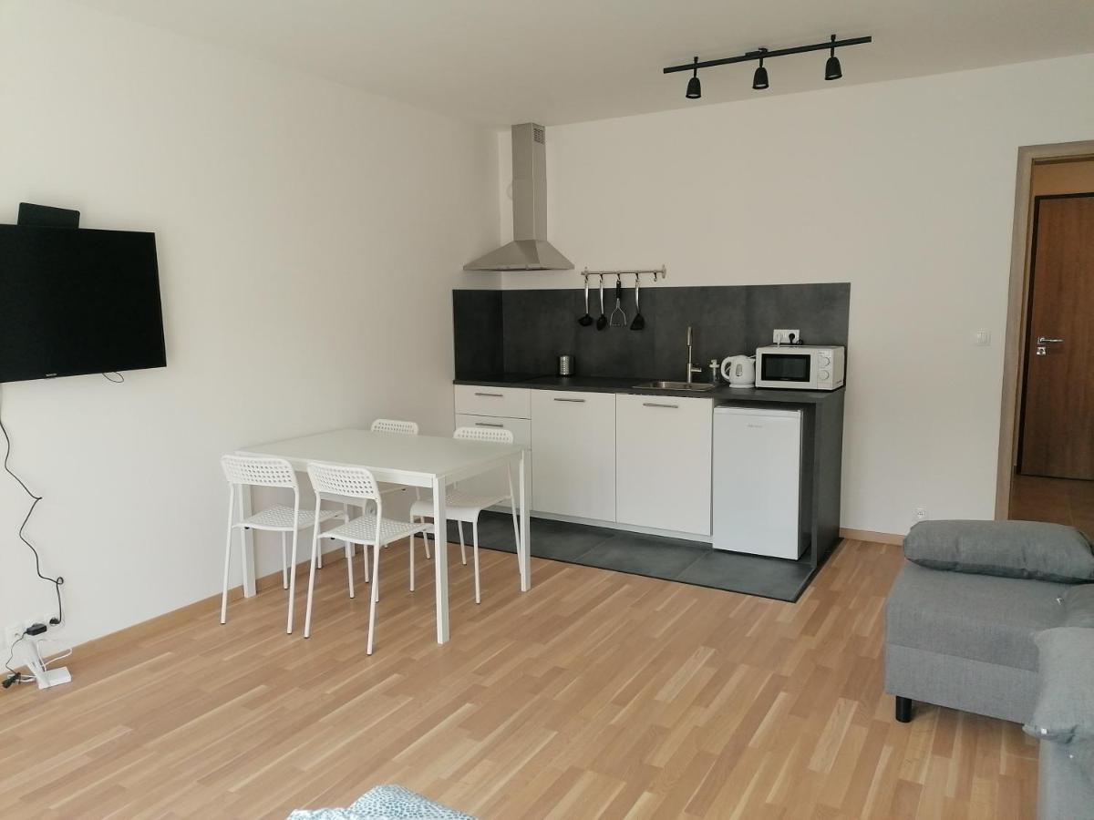 Brand New Studio Apartment #51 With Free Secure Parking In The Center ปราก ภายนอก รูปภาพ